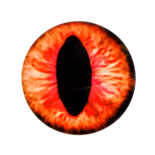 Ögon 35 Cabochon 14mm 1st