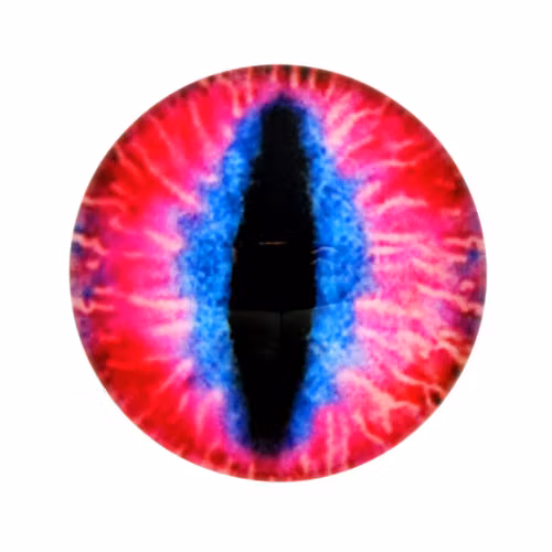 Ögon 39 Cabochon 14mm 1st