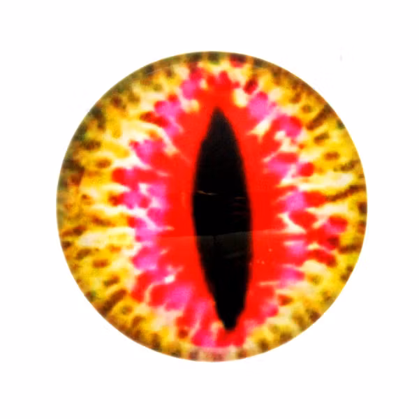 Ögon 34 Cabochon 20mm 1st