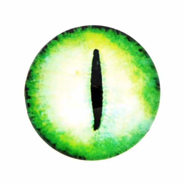 Ögon 36 Cabochon 20mm 1st