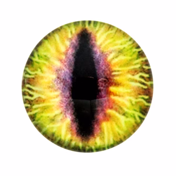 Ögon 38 Cabochon 20mm 1st