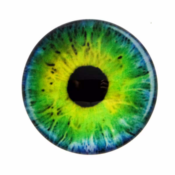Ögon 25 Cabochon 20mm 1st
