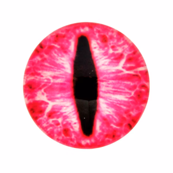 Ögon 13 Cabochon 20mm 1st