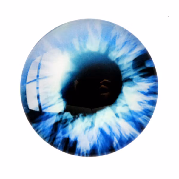 Ögon 22 Cabochon 20mm 1st