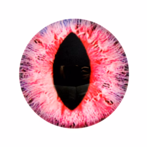 Ögon 40 Cabochon 25mm 1st