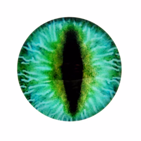 Ögon 20 Cabochon 25mm 1st