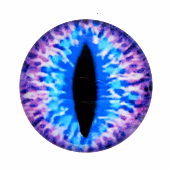 Ögon 27 Cabochon 25mm 1st