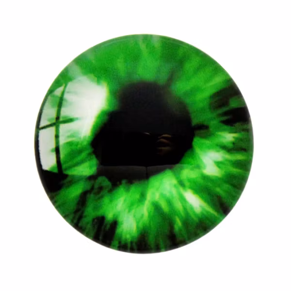 Ögon 12 Cabochon 25mm 1st