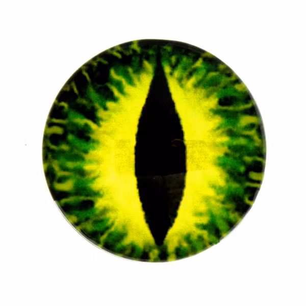 Ögon 14 Cabochon 25mm 1st