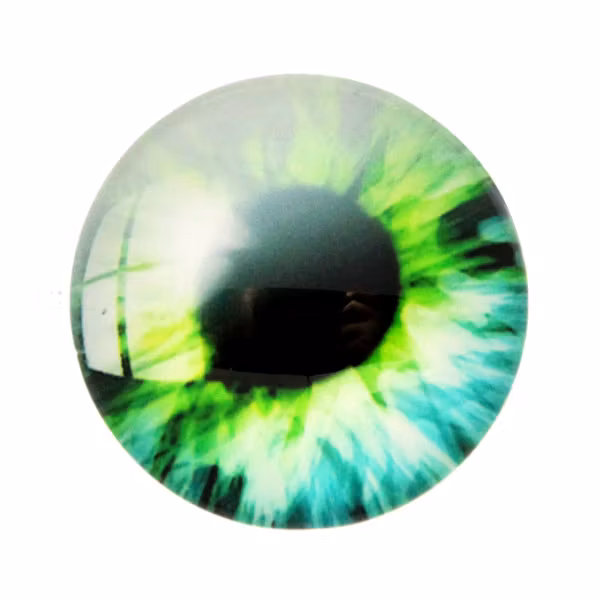 Ögon 16 Cabochon 25mm 1st