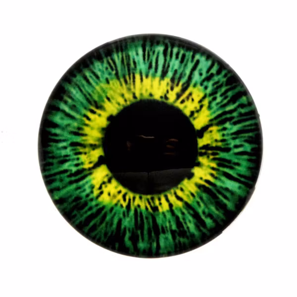 Ögon 17 Cabochon 25mm 1st