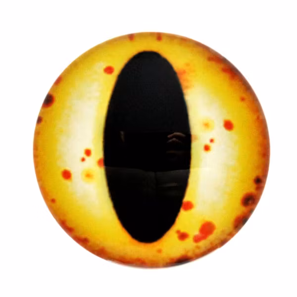 Ögon 6 Cabochon 25mm 1st