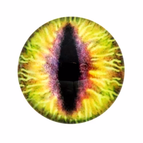 Ögon 38 Cabochon 30mm 1st