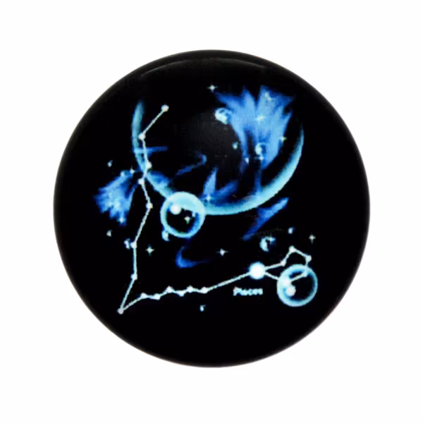 Stjärntecken Fiskarna/Pisces Cabochon 25mm 1st