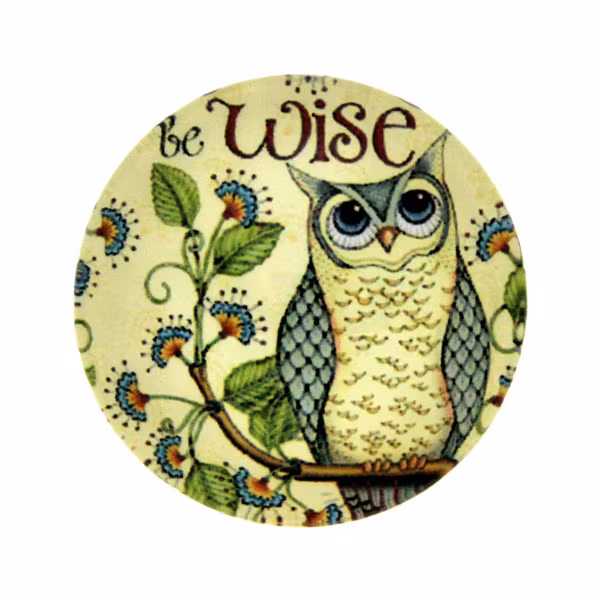 Blandade 8 Cabochon 25mm 1st