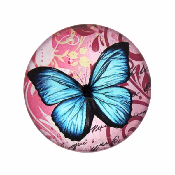 Fjärilar med Text 2 Cabochon 25mm 1st