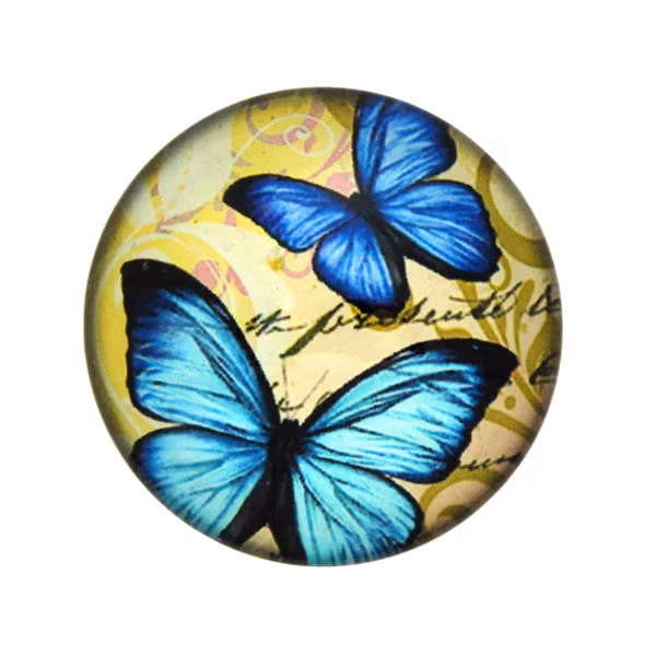 Fjärilar med Text 5 Cabochon 25mm 1st