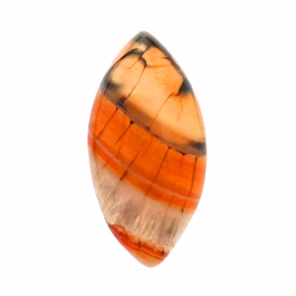Agat DFDPB Cabochon Navette 40x20mm 22 1st