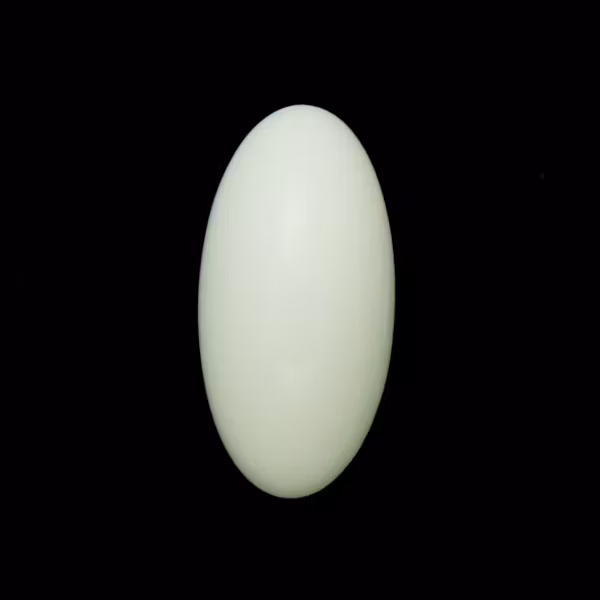 Opaque White Athos Par Puca 20x10x6mm 1st