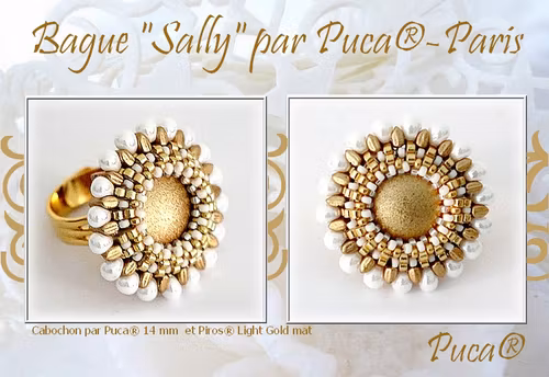 Sally Ring PDF