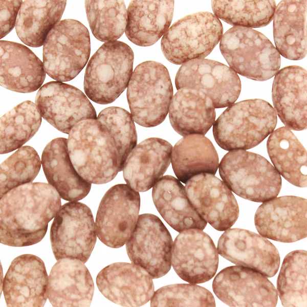 Opaque White Mat Teracota Bronze Samos 5g