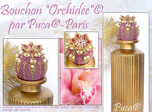 Orchidée Kork PDF