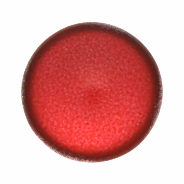 Slushy Strawberry Cabochon Par Puca 18mm 1st