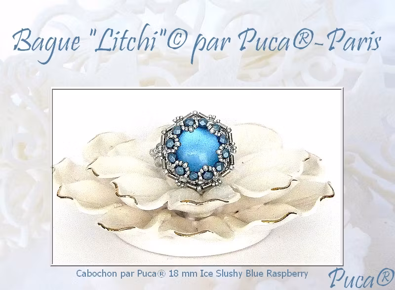 Litchi Ring PDF