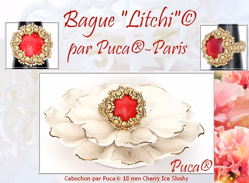 Litchi Ring PDF