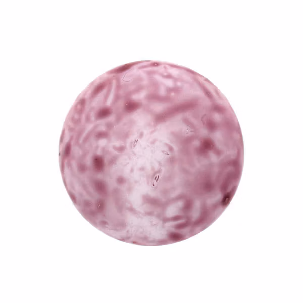 Alabaster Milky Light Amethyst Cabochon Par Puca 18mm 1st