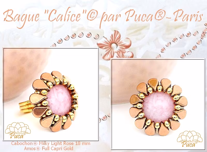 Calice Ring PDF