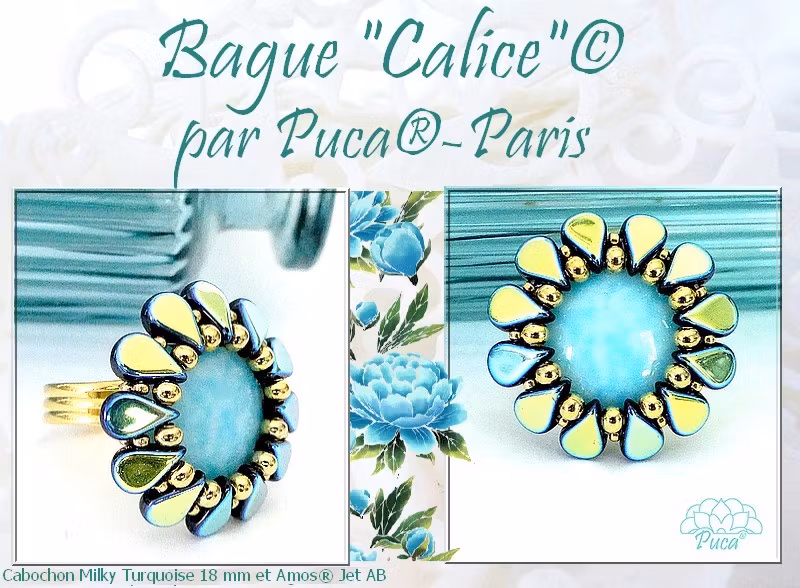 Calice Ring PDF