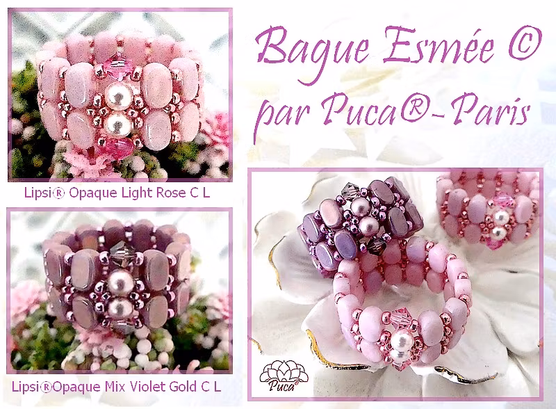 Esmée Ring PDF