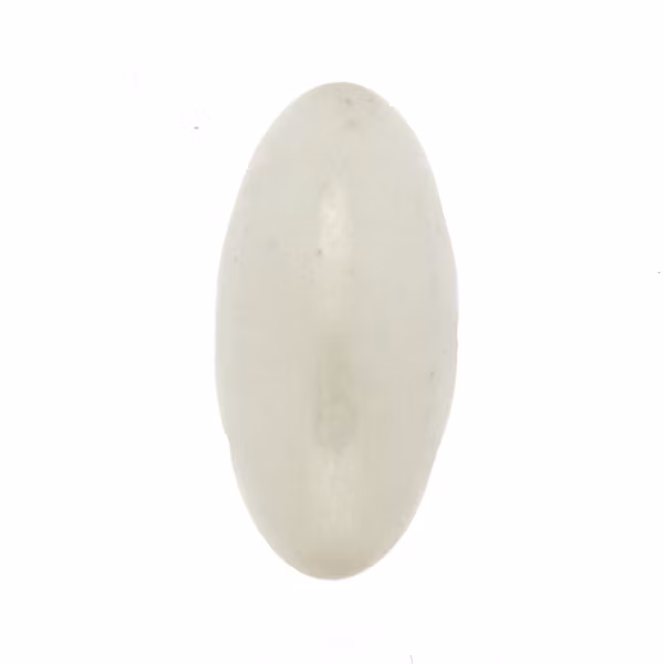 Opaque White Luster Athos 3 Holes 1st