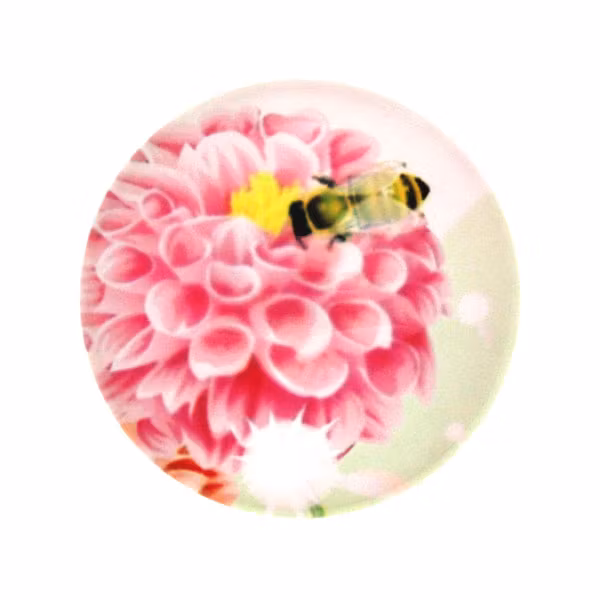 Blommor 2 Cabochon 20mm 1st