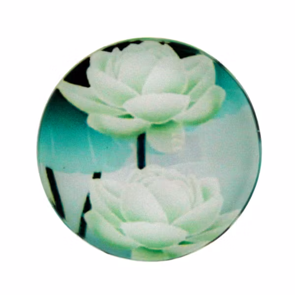 Blommor 13 Cabochon 20mm 1st