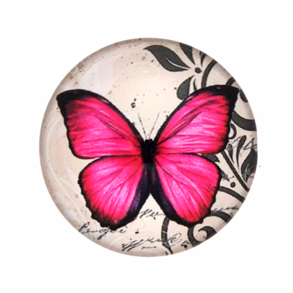 Fjärilar Text 10 Cabochon 20mm 1st