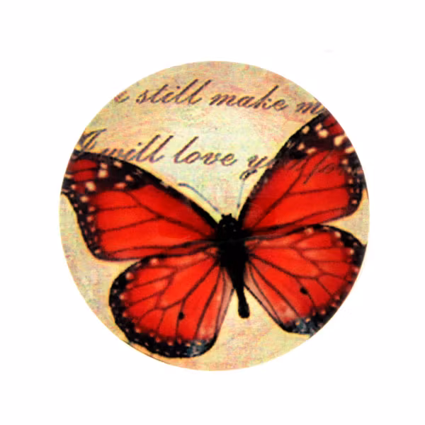 Blandade 2 Cabochon 20mm 1st