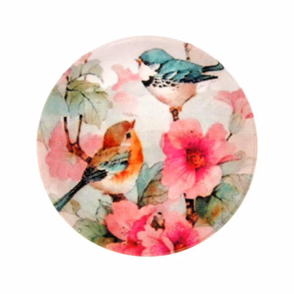 Blandade 4 Cabochon 20mm 1st