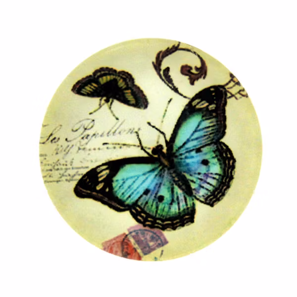 Blandade 9 Cabochon 20mm 1st