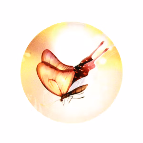 Fantastiska Fjärilar 2 Cabochon 30mm 1st