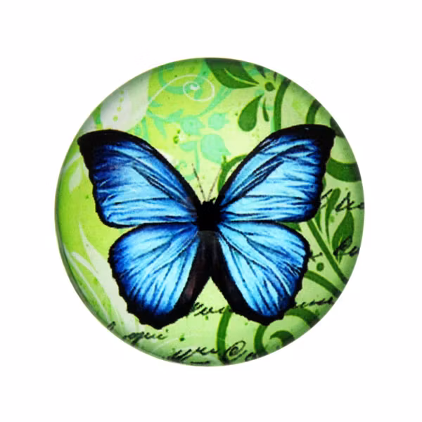 Fjärilar Text 14 Cabochon 30mm 1st