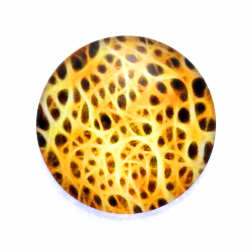 Eld 1 Cabochon 40mm 1st