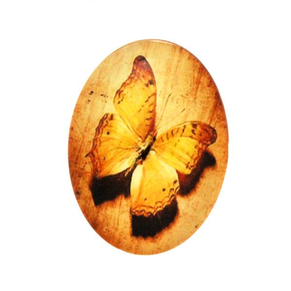 Fjäril 6 Cabochon 40x30mm 1st