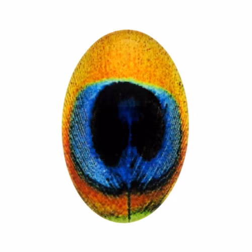Påfågel 12 Cabochon 30x20mm 1st