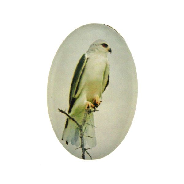 Fågel 1 Cabochon 30x20mm 1st