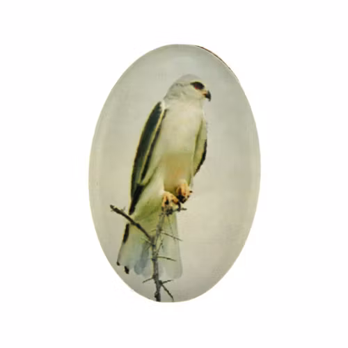 Fågel 1 Cabochon 30x20mm 1st