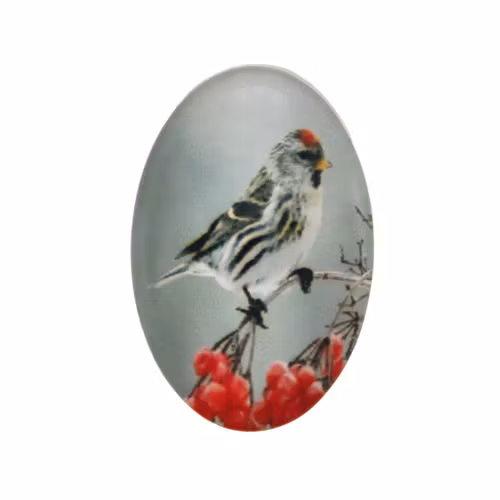 Fågel 3 Cabochon 30x20mm 1st