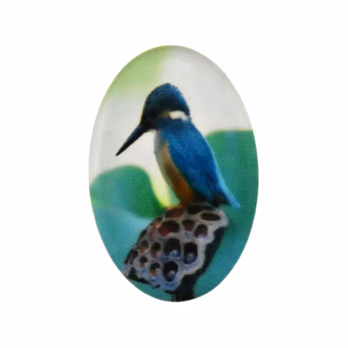 Fågel 4 Cabochon 30x20mm 1st