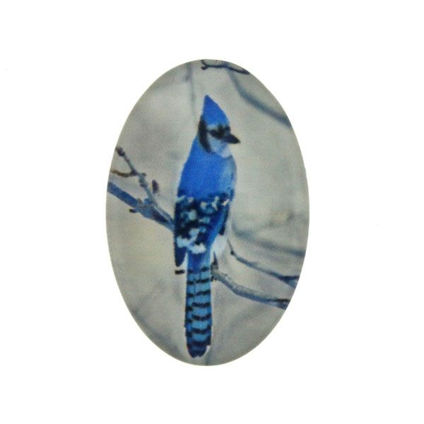 Fågel 5 Cabochon 30x20mm 1st
